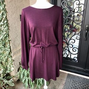 Elegant Plum Mini Dress